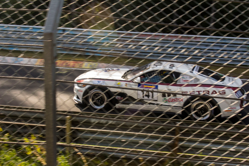 I like how the fence and the sun light work together on this one. Also, the only American Muscle present on track. (Pflanzgarten)